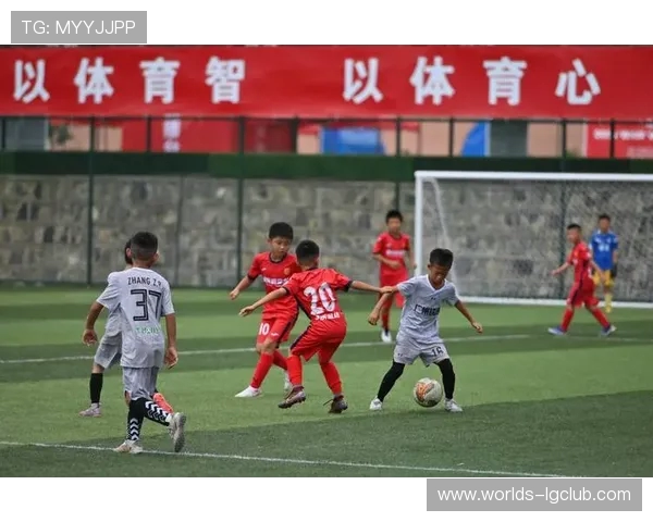 围绕不能让足球顶在头上的校园体育安全行为规范与预防措施探讨